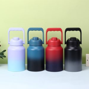 Insulated Water Bottle VN-7010 VN-7011