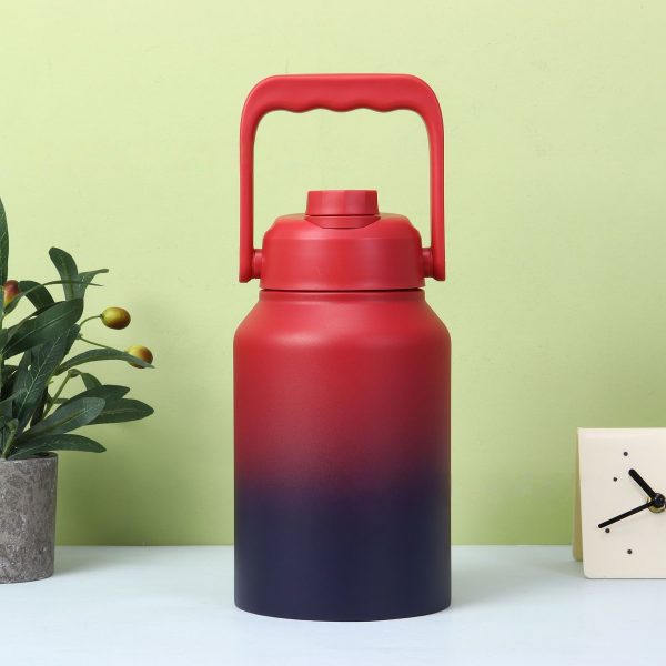 Insulated Water Bottle VN-7010 VN-7011 - 图片 6