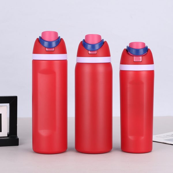 Insulated Water Bottle VN-7305 VN-7306 VN-7307 - 图片 6